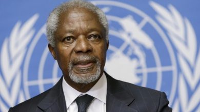 U.n. arab league mediator annan addresses a news conference in geneva