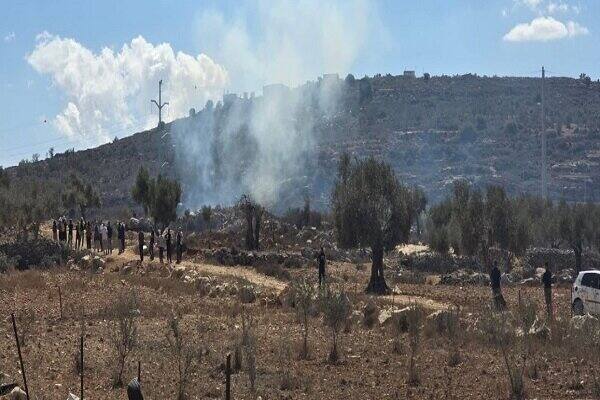 شهادت جوان فلسطینی