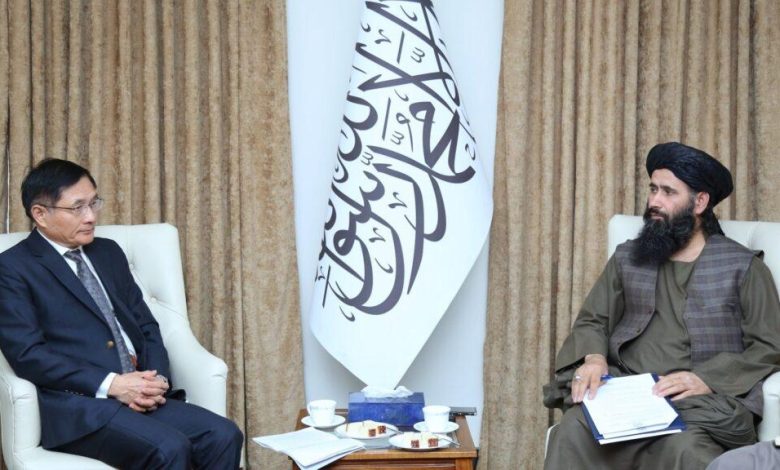 نعیم وردگ