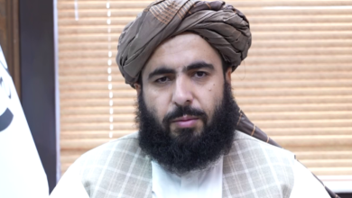 حمدالله فطرت