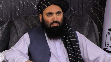 رحمت الله نجیب