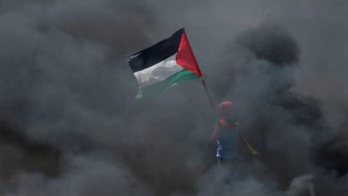 غزه