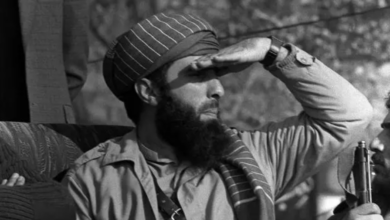 برادر حکمتیار صاحب