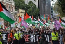 خروش جهانی در حمایت از غزه