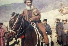 صوفی پاینده