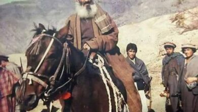 صوفی پاینده