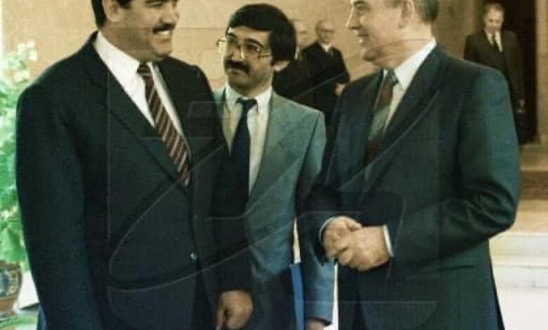 نجیب گاوو